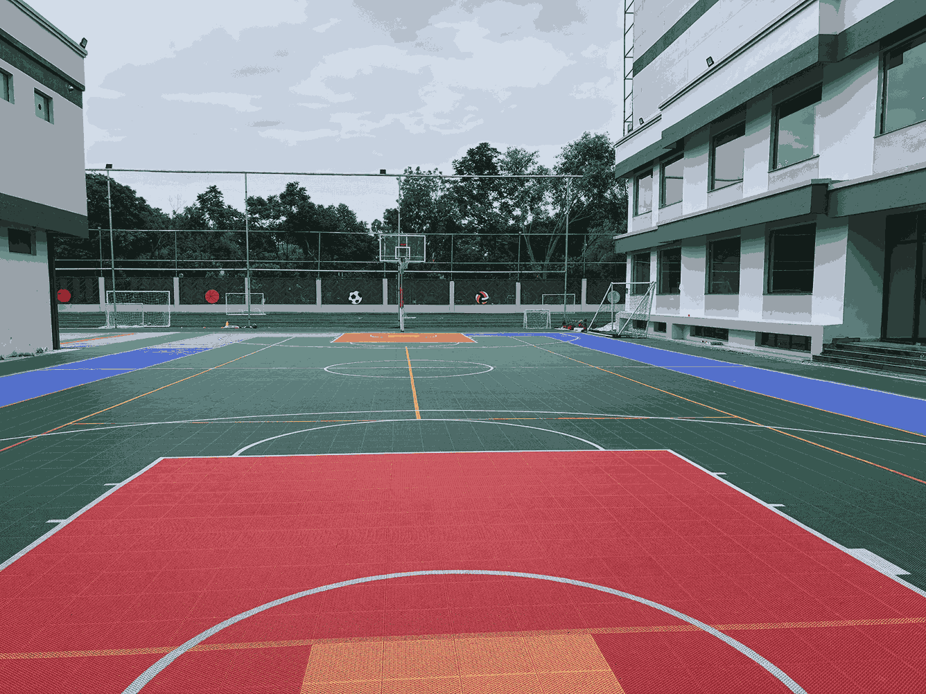 Basketball